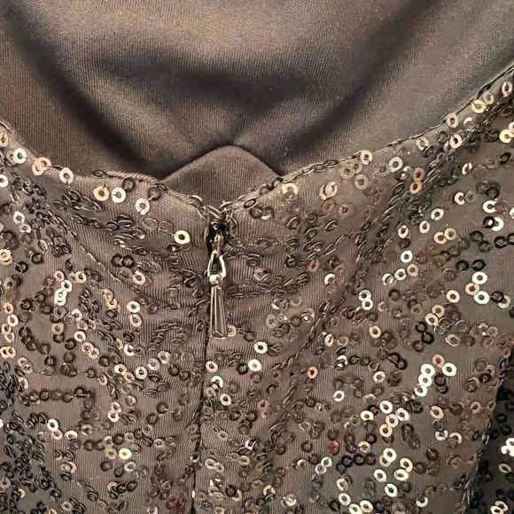 FINAL PRICE Cache Sequined Cocktail Dress - Picture 6 of 7